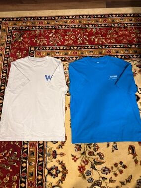 Two Hollister Boxy Fit Graphic Tees